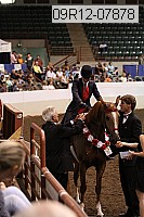 09r12-07878 thumbnail
