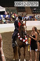 09r12-07879 thumbnail