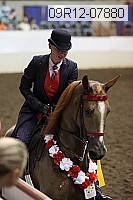 09r12-07880 thumbnail
