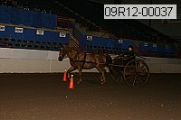 09r12-00037 thumbnail