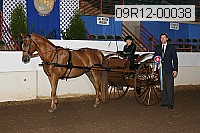 09r12-00038 thumbnail