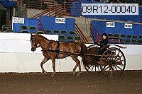 09r12-00040 thumbnail