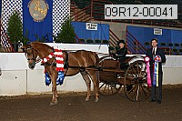09r12-00041 thumbnail