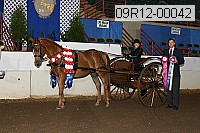 09r12-00042 thumbnail
