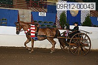 09r12-00043 thumbnail