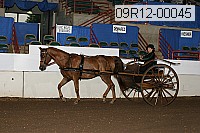 09r12-00045 thumbnail