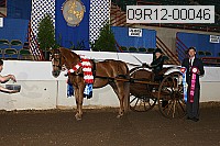 09r12-00046 thumbnail