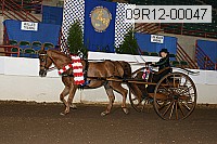 09r12-00047 thumbnail