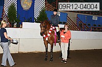 09r12-04004 thumbnail
