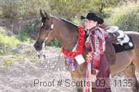 scotts_09_-1135 thumbnail