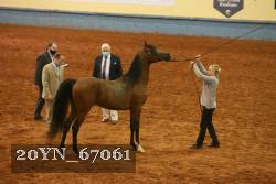 20YN_67061 thumbnail