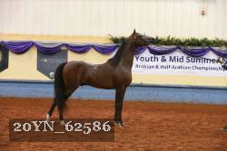 20YN_62586 thumbnail