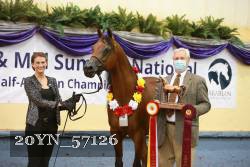 20YN_57126 thumbnail