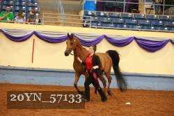 20YN_57133 thumbnail