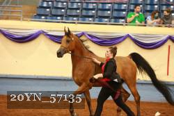 20YN_57135 thumbnail
