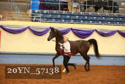 20YN_57138 thumbnail