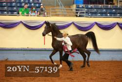 20YN_57139 thumbnail