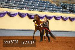 20YN_57141 thumbnail