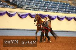 20YN_57142 thumbnail
