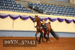 20YN_57143 thumbnail
