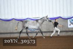 20YN_30573 thumbnail