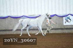 20YN_30607 thumbnail