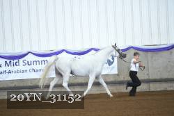 20YN_31152 thumbnail