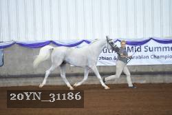 20YN_31186 thumbnail