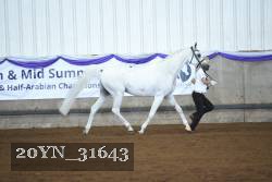 20YN_31643 thumbnail