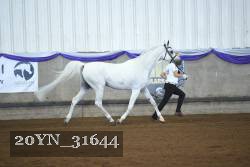 20YN_31644 thumbnail
