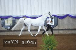 20YN_31645 thumbnail
