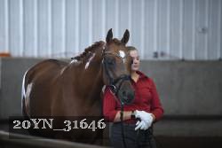 20YN_31646 thumbnail