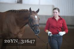 20YN_31647 thumbnail