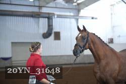 20YN_31648 thumbnail