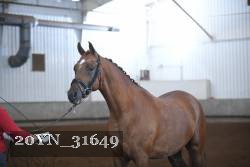 20YN_31649 thumbnail