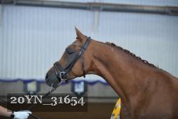 20YN_31654 thumbnail