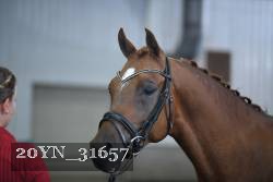 20YN_31657 thumbnail