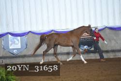 20YN_31658 thumbnail
