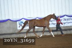 20YN_31659 thumbnail