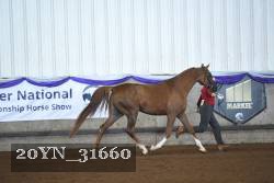 20YN_31660 thumbnail
