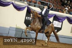 20YN_42903 thumbnail