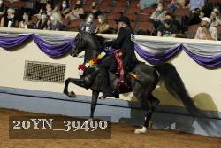 20YN_39490 thumbnail