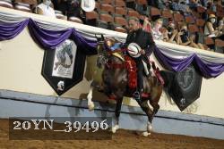 20YN_39496 thumbnail