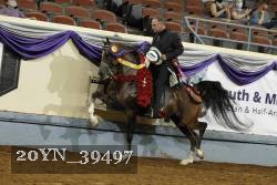 20YN_39497 thumbnail