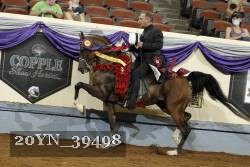 20YN_39498 thumbnail
