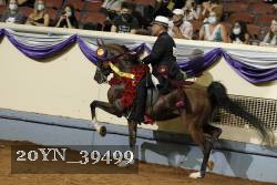 20YN_39499 thumbnail