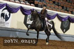 20YN_02415 thumbnail