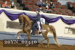20YN_02440 thumbnail