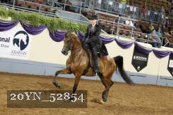 20YN_52854 thumbnail