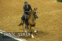 20YN_52858 thumbnail
